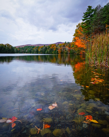 Fall in Maine