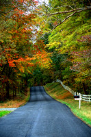 Backroads of Fall